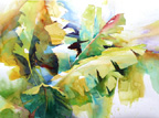 Banana Palms  - (Click here to view larger image)